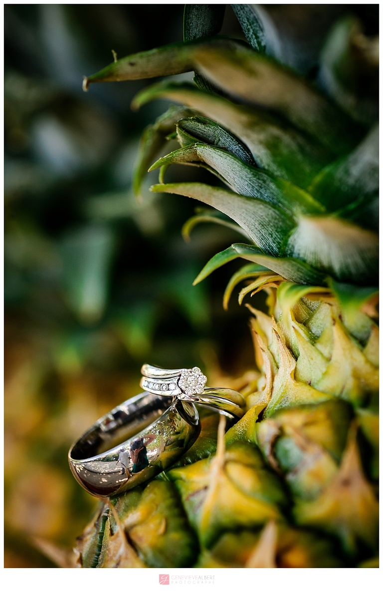 photographe mariage dans le sud, punta cana, république dominicaine, dreams, Trash the Dress, Destination Wedding Photographer, Genevieve Albert, ottawa, gatineau, québec, ontario