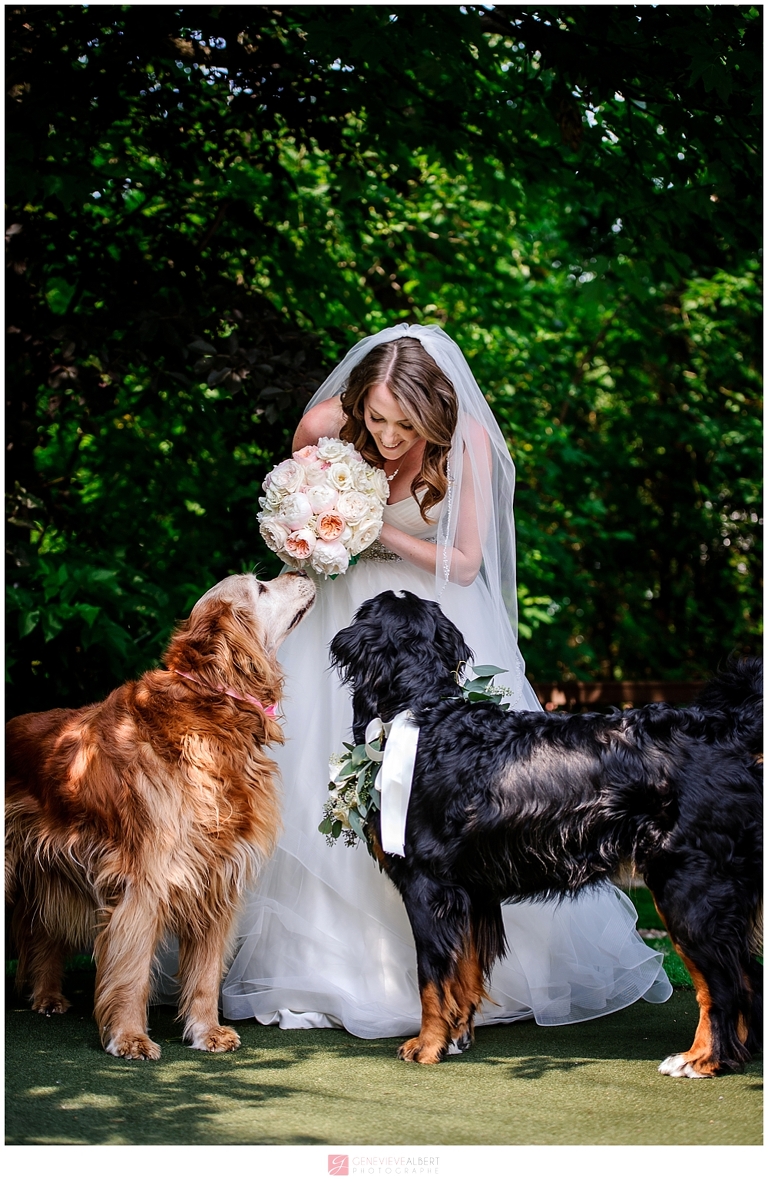 mariage, Le Belvédère, wakefield, photographe mariage, gatineau, ottawa wedding photographer genevieve albert, rockland, parc de la gatineau, rose,