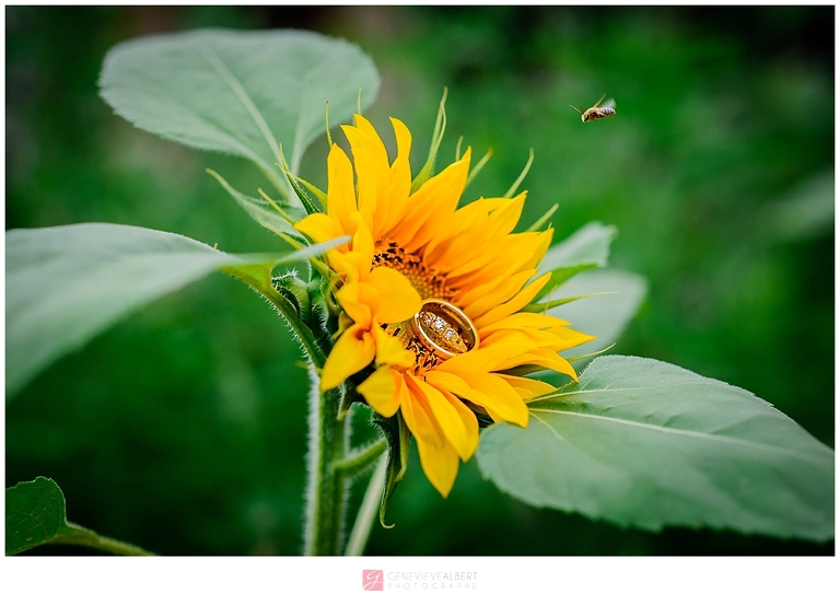 mariage champêtre, garden wedding, musée de cumberland, museum, rustic, rustique, yellow, genevieve albert photographe