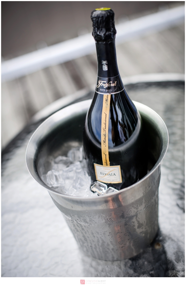 mariage, la malbaie, charlevoix, auberge des 3 canards, photographe, genevieve albert